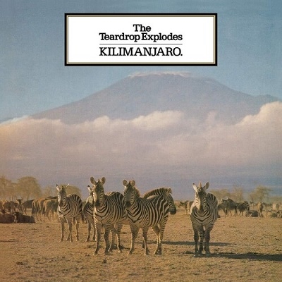 Kilimanjaro＜Black Vinyl＞