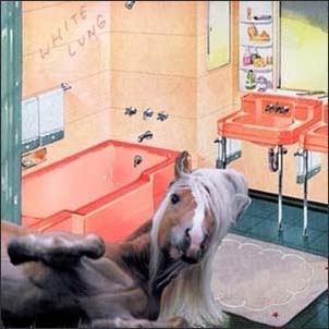 Songs Of The South＜限定盤＞