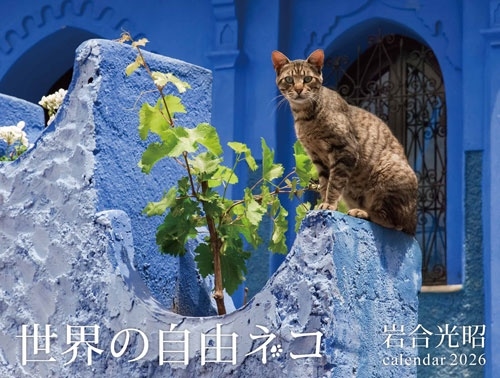 2026 世界の自由ネコ