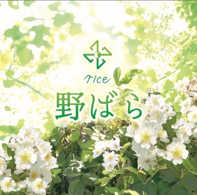rice (J-Pop)/Ф CD+DVDϡס[YURO-037]