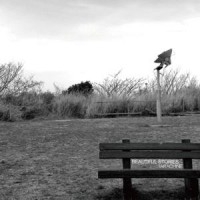 ビューティフル・ストーリーズ