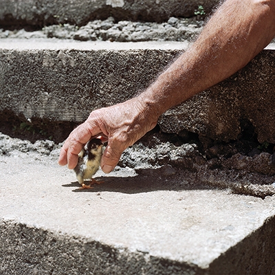 Mythological Beauty＜RECORD STORE DAY限定＞