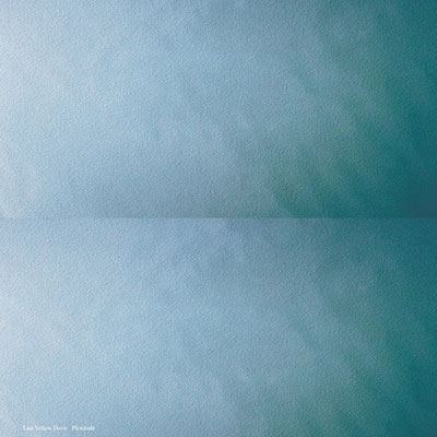 Last Yellow Dove/Plenitude LP+CD-R[FHL1001]