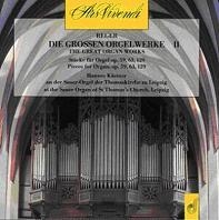 Reger: The Great Organ Works Vol.2