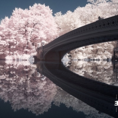 The Long Game The Long Game