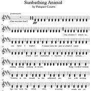 Sunbathing Animal/Pilgrims To Nowhere Sunbathing Animal/Pilgrims To Nowhere