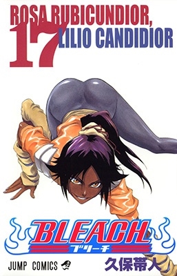 BLEACH -ブリーチ- 17