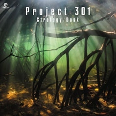 Project301/Strategy/Dusk[FLRS-123]