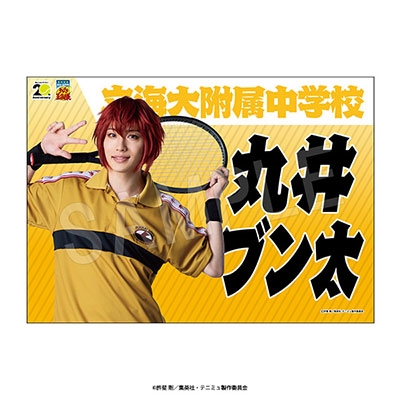 テニミュ 4th 関東立海(関立) DVD