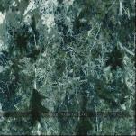 VOICES FROM THE LAKE