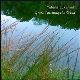 Grass Catching The Wind