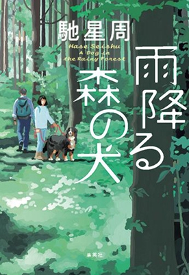 雨降る森の犬 雨降る森の犬