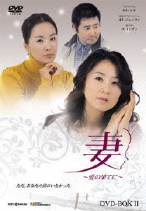 妻～愛の果てに～ DVD-BOX2