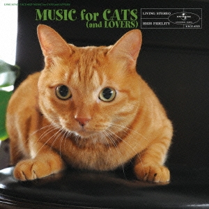 猫と音楽の休日