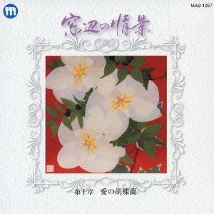 窓辺の情景 第十章 愛の胡蝶蘭