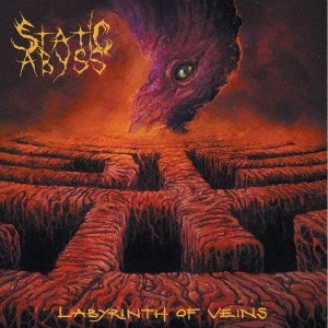 TOWER RECORDS ONLINE㤨Static Abyss/LABYRINTH OF VEINS[CDVILEF946J]פβǤʤ2,530ߤˤʤޤ
