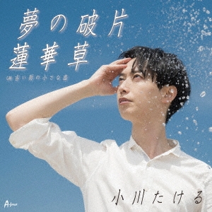 /̴/ϡ C/W Ťξ[YZWG-15329]