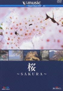V-music01 「桜～SAKURA～」