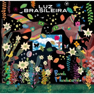 LUZ BRASILEIRA/ブラジルの光