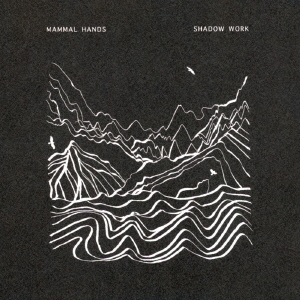 シャドウ・ワーク