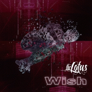 Wish ［CD+DVD］＜初回限定盤B＞