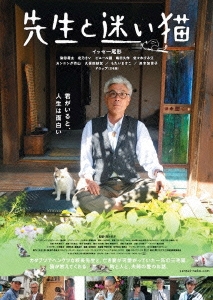 先生と迷い猫 豪華版 ［Blu-ray Disc+DVD］