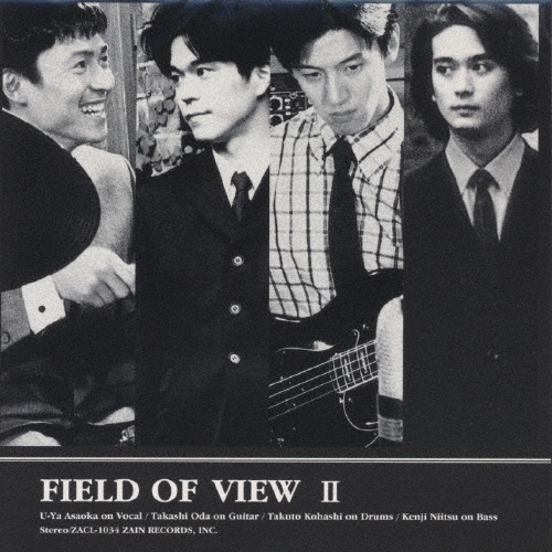 FIELD OF VIEW 30枚 セット　シングル 22枚 アルバム 8枚 FIELD OF VIEW アルバム2枚セット【名盤・廃盤・美品です