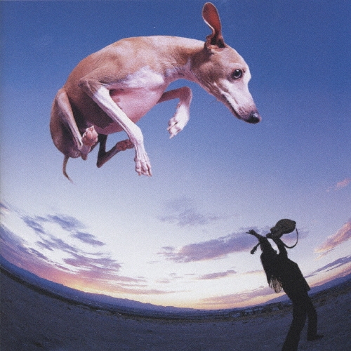 フライング・ドッグ