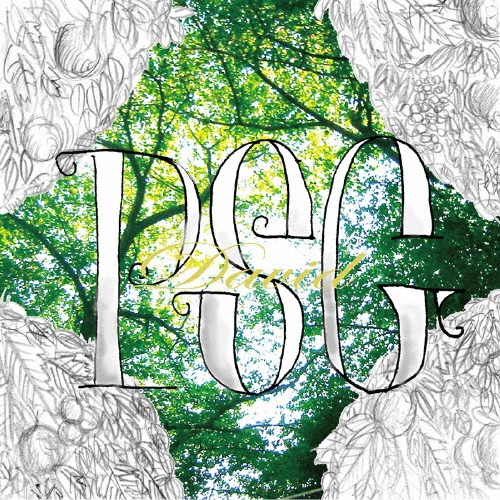 PSG (J-Hiphop)/David[FRCD-198]