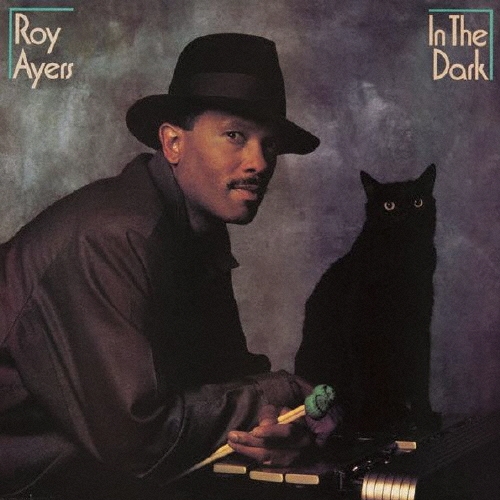 Roy Ayers/イン･ザ･ダーク[SICP-3523]