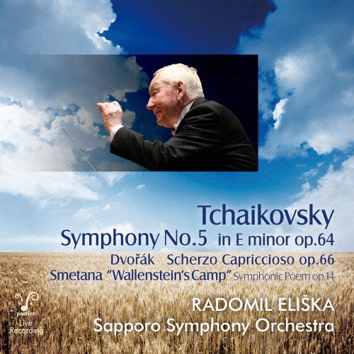 ɥߥ롦ꥷ奫/5(㥤ե)[DQC-1581]