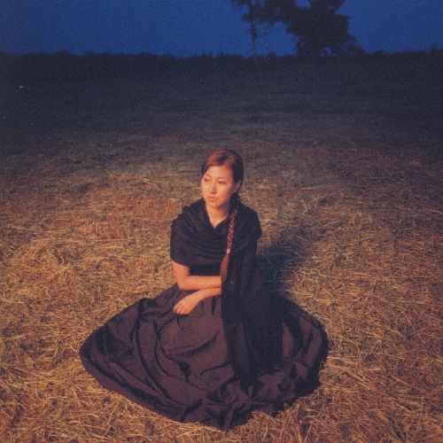 輝く月が照らす夜