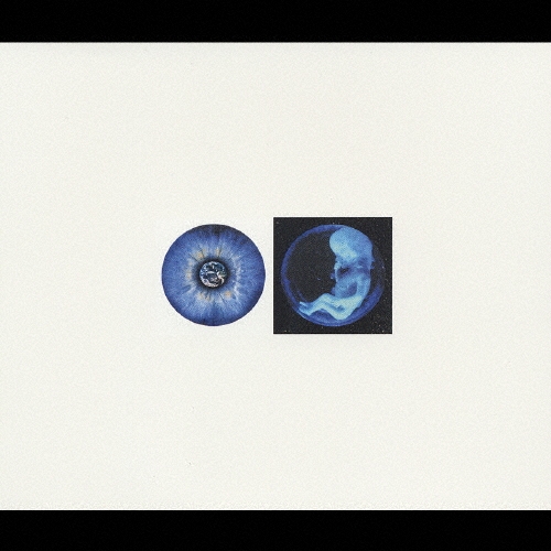 【今月限定値下】PIERROT LANDSCAPE HEAVEN SIDE Amazon.co.jp: PIERROT/DVD 2002.5.10 LIVE AT NIPPON BUDOKAN
