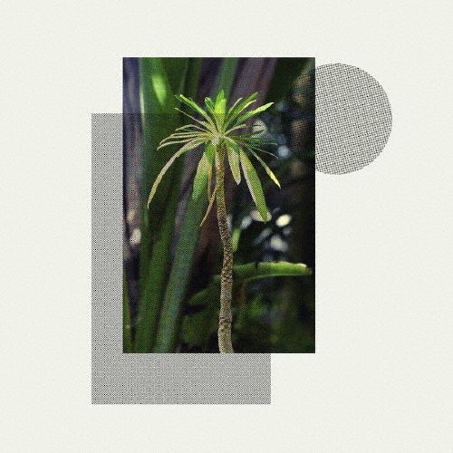 TOWER RECORDS ONLINE㤨Stefan Jos/Primitives[FLAU-46B]פβǤʤ2,200ߤˤʤޤ