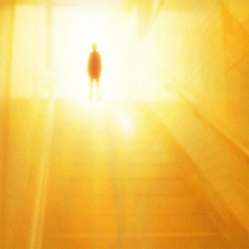 BUMP OF CHICKEN/ͧãα[TFCC-89333]
