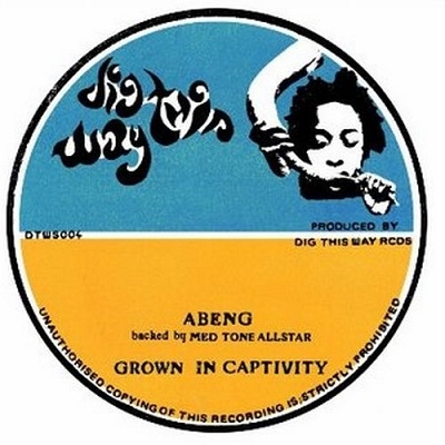 Abeng Backed By Med Tone Allstar/Grown In Captivity̸ס[DTWS004]