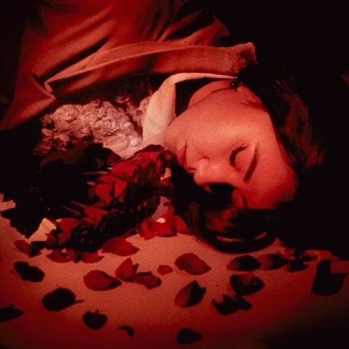 TOWER RECORDS ONLINE㤨Coming Up Roses/How Did We Fall So Far?[INH003CD]פβǤʤ2,591ߤˤʤޤ