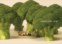 ã/MINIATURE LIFE ߥ˥奢饤[9784880653280]