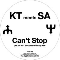 Can't Stop (We Are NOT SO Lonely Mush Up Mix)（アナログ限定盤）