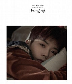 WOOYOUNG (From 2PM)/BYE 2nd Mini Album[JYPK0901]