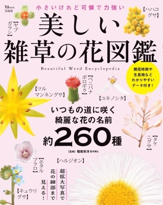 美しい雑草の花図鑑 美しい雑草の花図鑑