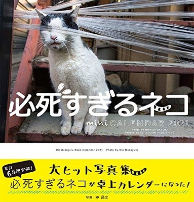 2021ミニカレンダー 必死すぎるネコ 2021ミニカレンダー 必死すぎるネコ