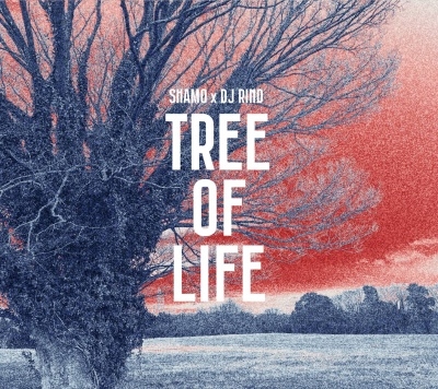 TREE OF LIFE TREE OF LIFE