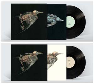 Meshes Of Voice＜限定盤＞