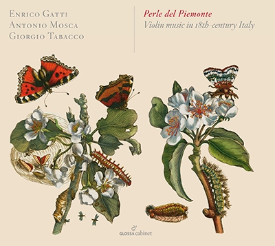 ꥳåƥ/Perle Del Piemonte - Violin Music in 18th Century Italy[GCDC80018]