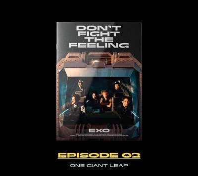 EXO/Don't Fight The Feeling (LP Ver.) (LTD. Edition)＜限定盤＞