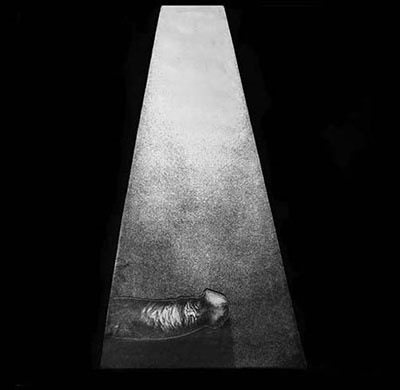 TOWER RECORDS ONLINE㤨Whitehouse/Erector[SLCD011]פβǤʤ2,790ߤˤʤޤ