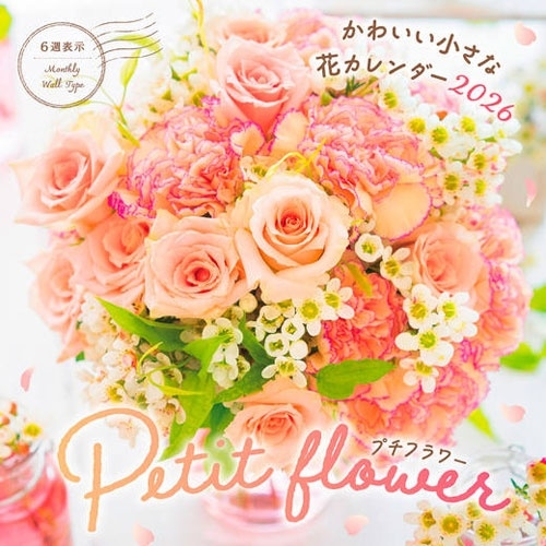 ����ץ쥹���������Խ���/�ץ��ե� ���襤�������ʲ֥������� 2026[9784295022183]