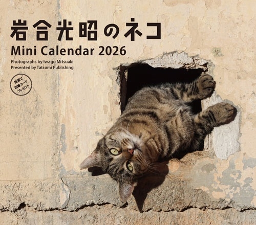 2026 ミニカレンダー 岩合光昭のネコ