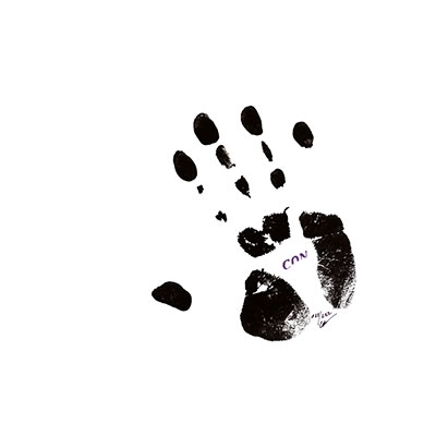 TOWER RECORDS ONLINE㤨Conrad Schnitzler/Con 84[BB411CD]פβǤʤ1,345ߤˤʤޤ